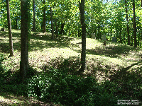 Old Glenville Cemetery - on the grounds of Glenville State University, Gilmore Co., WV