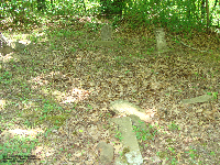 Old Glenville Cemetery - on the grounds of Glenville State University, Gilmore Co., WV