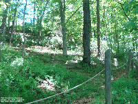 Old Glenville Cemetery - on the grounds of Glenville State University, Gilmore Co., WV