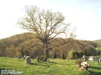 Barnette Cemetery, Rockcastle, Jackson Co., WV