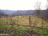 Boggess Cemetery, Goldtown, Jackson Co., WV