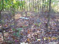 Lanham-Jones Cemetery, Jackson Co., West Virginia