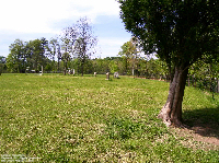 Litton Cemetery, Jackson Co., West Virginia