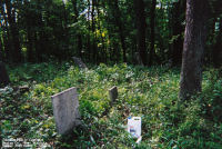 Johnson Family Cemetery, Marion Co., West Virginia