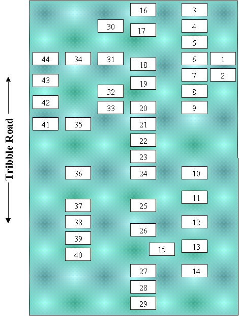 Kimberling Cemetery plot diagram - click on image to view full-size