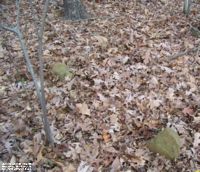 Mary Comerville Cemetery, Mason Co., West Virginia