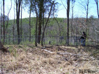 McCoy Cemetery, Mason County, West Virginia