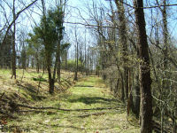 Calispel Ridge Road just east of McCoy Cemetery, Mason County, West Virginia