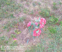 Siloam Baptist Church Cemetery, Mason Co., WV