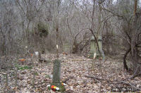 Thomas Fowler Cemetery, Mason Co., West Virginia