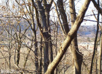 Thomas Fowler Cemetery, Mason Co., West Virginia