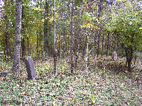Wallace Cemetery, Mason Co., WV 