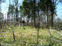 Williams Cemetery, Mason County, West Virginia