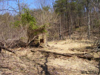 Williams Cemetery, Mason County, West Virginia