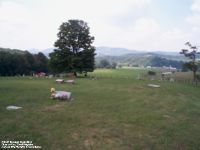 Sweet Sulphur Springs Cemetery, Monroe County, West Virginia