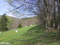 Richwood Cemetery, Nicholas Co., West Virginia