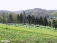 Richwood Cemetery, Nicholas Co., West Virginia