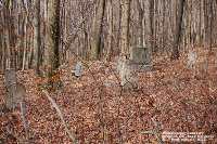 Frankhouser Cemetery in Preston Co., WV