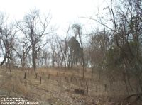 Big Cherry Cemetery, Putnam Co., WV