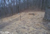 Big Cherry Cemetery, Putnam Co., WV