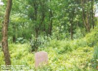 Big Cherry Cemetery, Putnam Co., WV