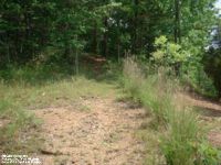 View of the ornamental grasses lining the roadbed leading to the cemetery