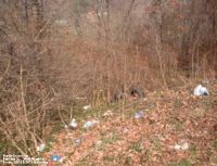 Smith Cemetery in Putnam County - this photo taken before clean-up