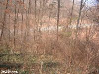 Smith Cemetery in Putnam County - this photo taken before clean-up