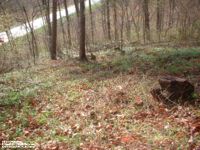 Smith Cemetery in Putnam County - this photo taken part of the way through the clean-up