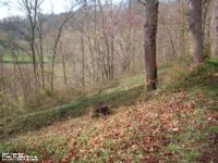 Smith Cemetery in Putnam County - this photo taken part of the way through the clean-up