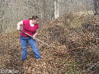 Smith Cemetery in Putnam County - this photo taken during the clean-up
