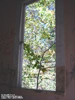 The view from the inside looking out over Thirteenmile Creek